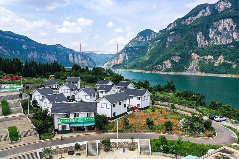 减负增效强基层 轻装奋进新时代——2021年以习近平同志为核心的党中央整治形式主义为基层减负纪实