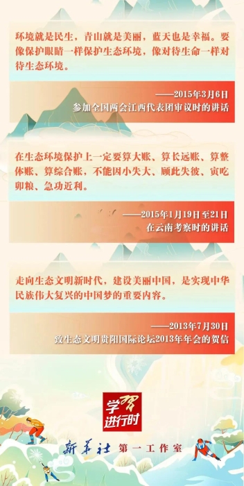 媒体解读丨青山碧水！习近平心中的美丽中国