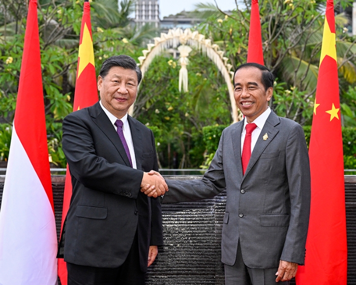 习近平同印尼总统佐科举行会谈