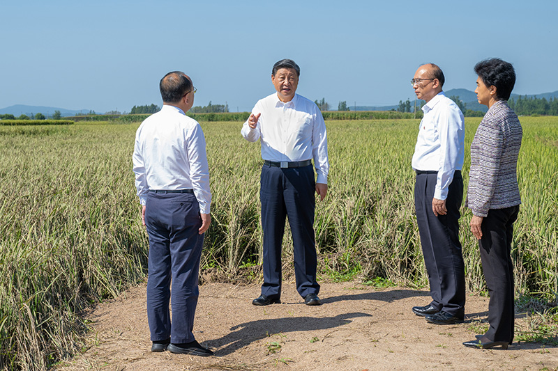 习近平在黑龙江考察时强调：牢牢把握在国家发展大局中的战略定位 奋力开创黑龙江高质量发展新局面