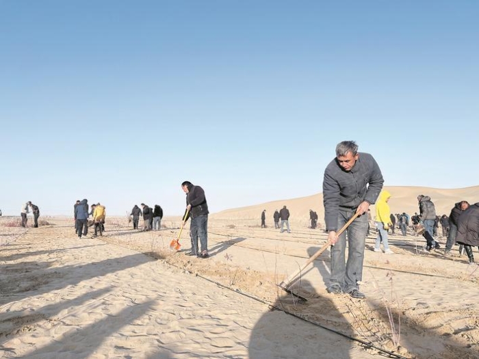 世界最长环沙漠生态屏障在中国“合龙” 兵地携手建设3046公里绿色阻沙防护带锁牢“死亡之海”