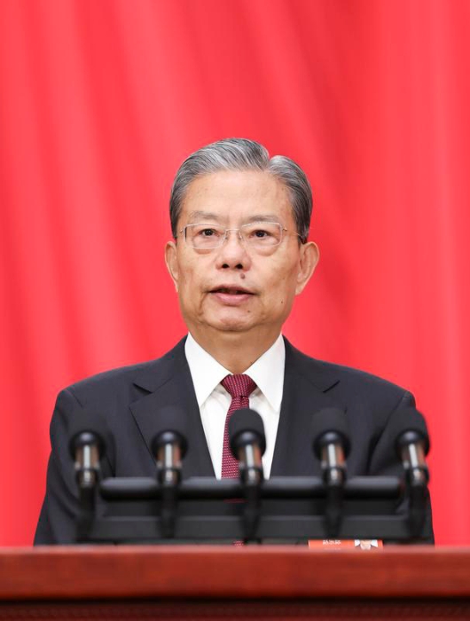 十四届全国人大三次会议举行第二次全体会议 习近平等出席 十四届全国人大三次会议举行第二次全体会议 习近平等出席