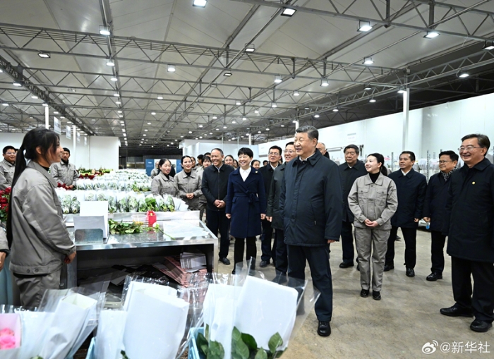 习近平在云南丽江市考察调研