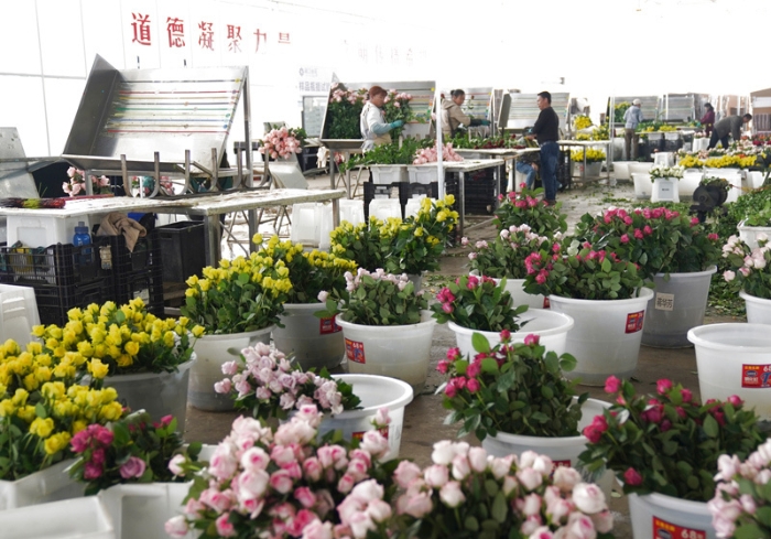 新的伟大奋斗创造新的历史伟业——以习近平同志为核心的党中央引领“十四五”经济社会发展纪实