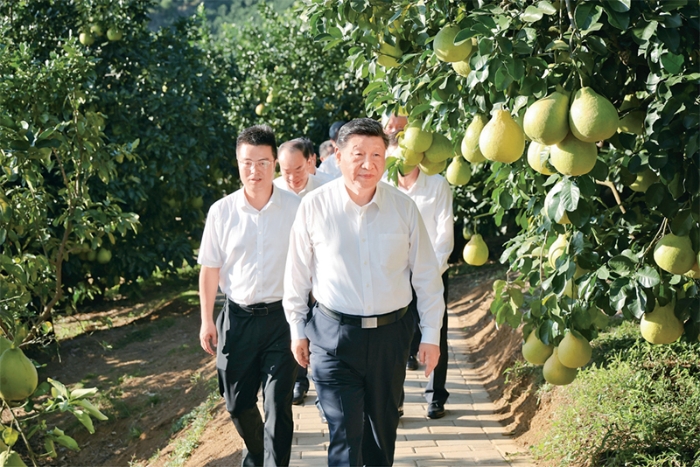 习近平：学习好贯彻好党的二十届四中全会精神